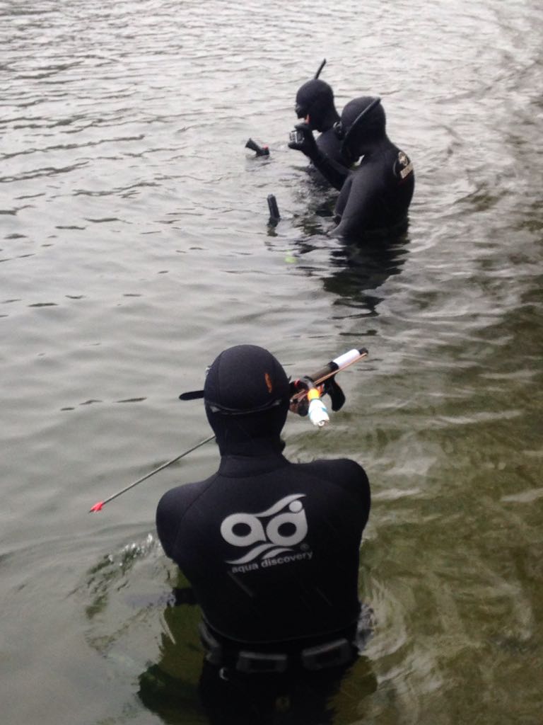 подвохи подвохи