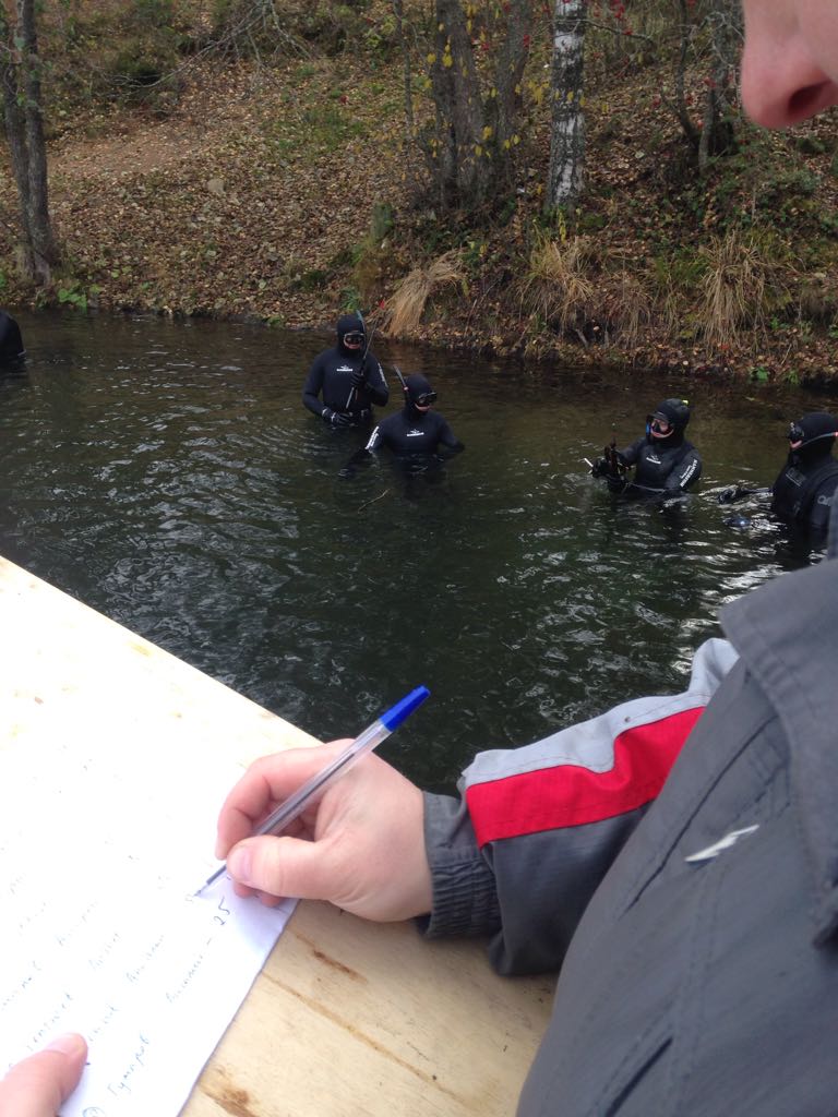 подвохи подвохи