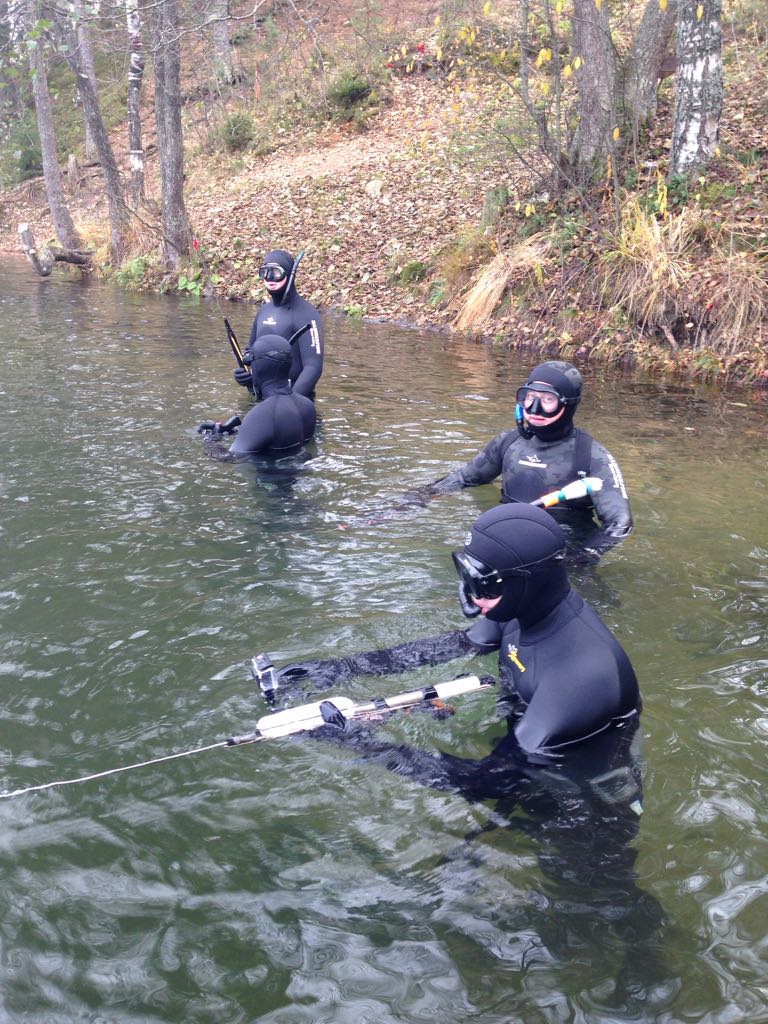 подвохи подвохи