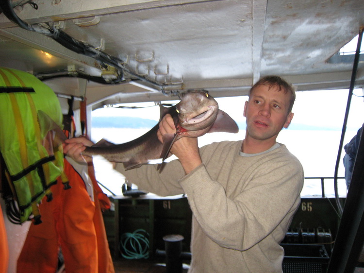 Картеш в Норвегии 28.10 – 02.11. Нарвикская акула. Картеш в Норвегии 28.10 – 02.11. Нарвикская акула.