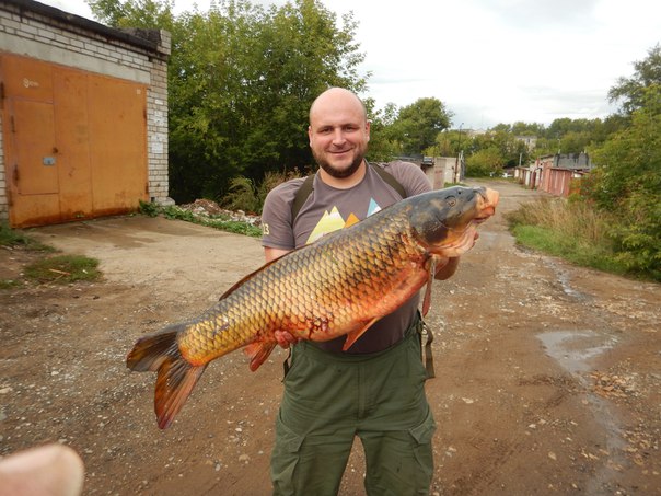 Дмитрий Кононов 1 Дмитрий Кононов 1