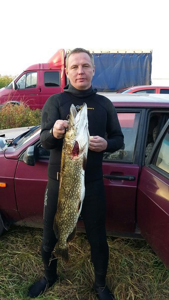 Дмитрий Николаевич Алексеев 1 Дмитрий Николаевич Алексеев 1