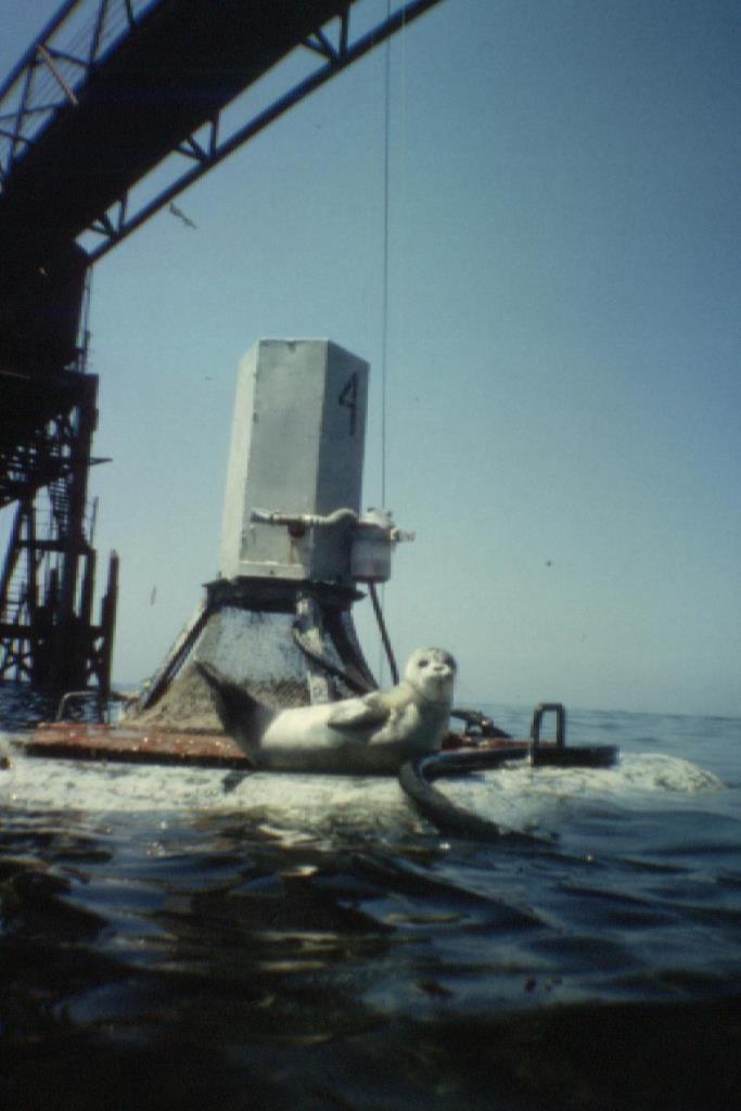 Каспийское море Каспийское море