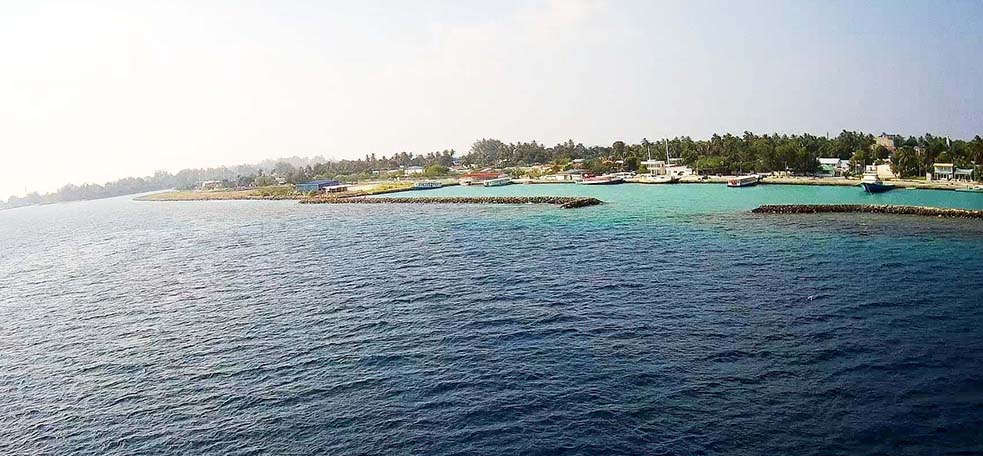 о.Фейду о.Фейду