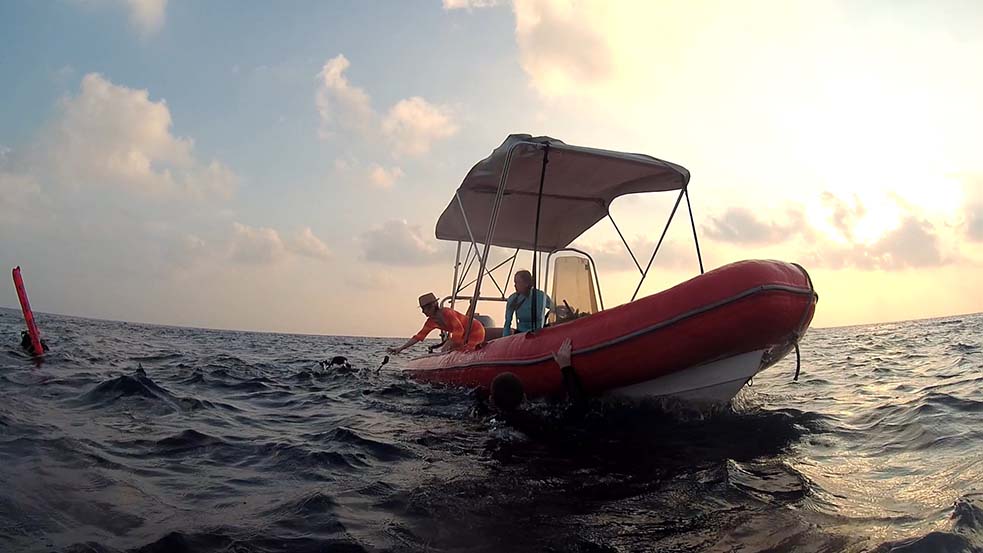 Унырялись да заката)) Унырялись да заката))