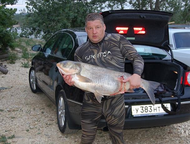 Станислав Рыгин 2 Станислав Рыгин 2