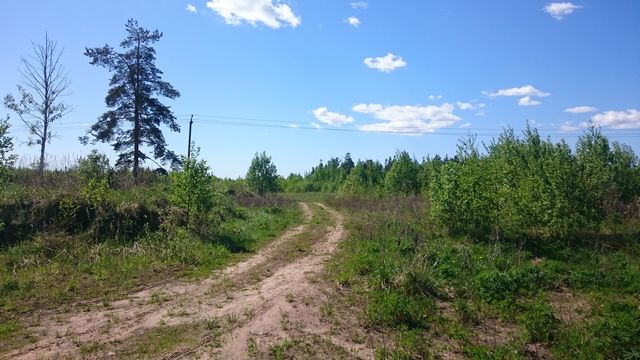 карьер всеволожск карьер всеволожск
