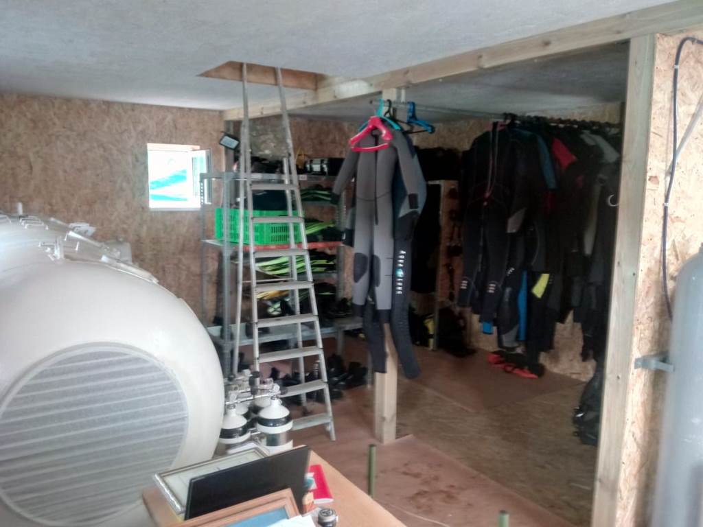 новая база новая база