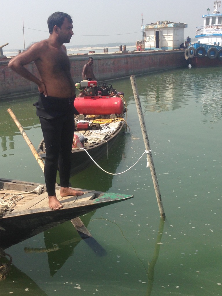 Суровый бенгальский дайвер Суровый бенгальский дайвер