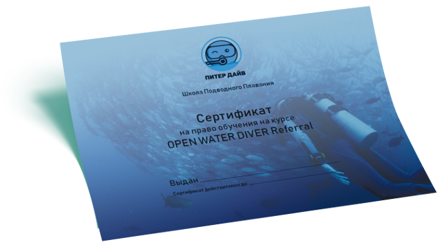 Подарочный сертификат Подарочный сертификат