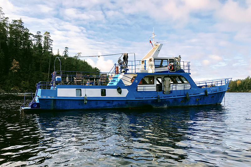 МЭС Грифон МЭС Грифон