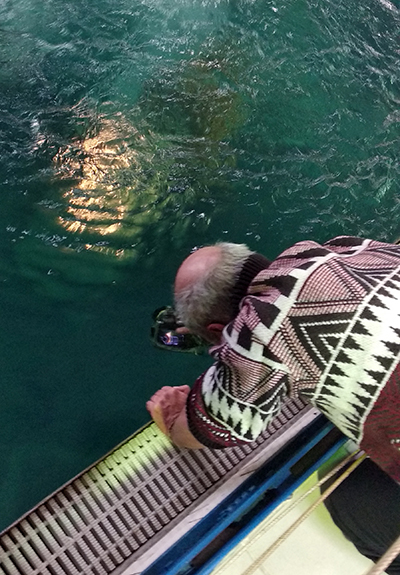фы фы