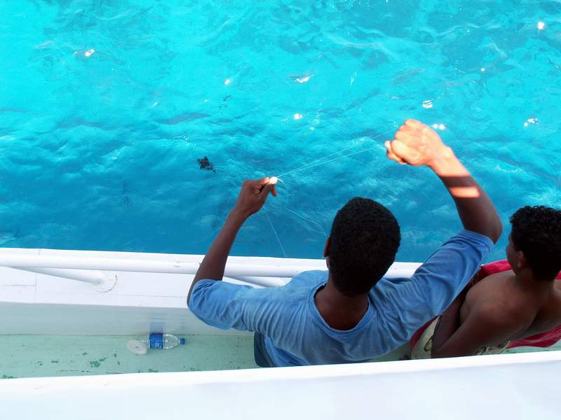 "Осень кусать хотса" "Осень кусать хотса"