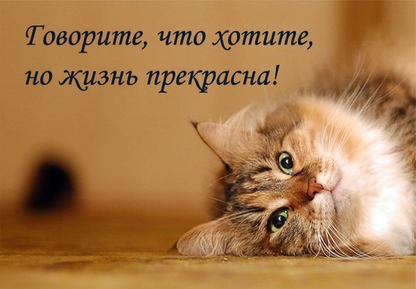 life is miracle life is miracle