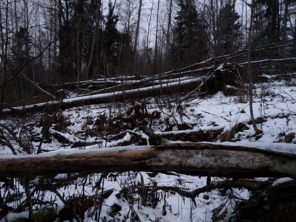 это была дорога... лет 120 назад... это была дорога... лет 120 назад...