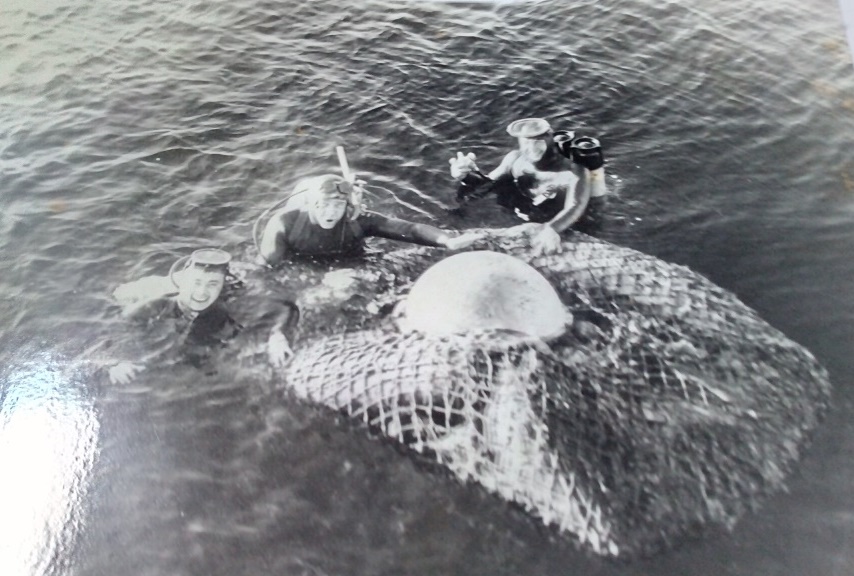 Подводная палатка на Белом море Подводная палатка на Белом море