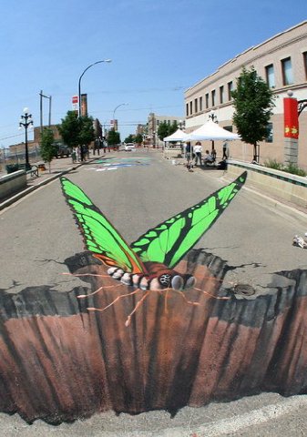buterfly buterfly