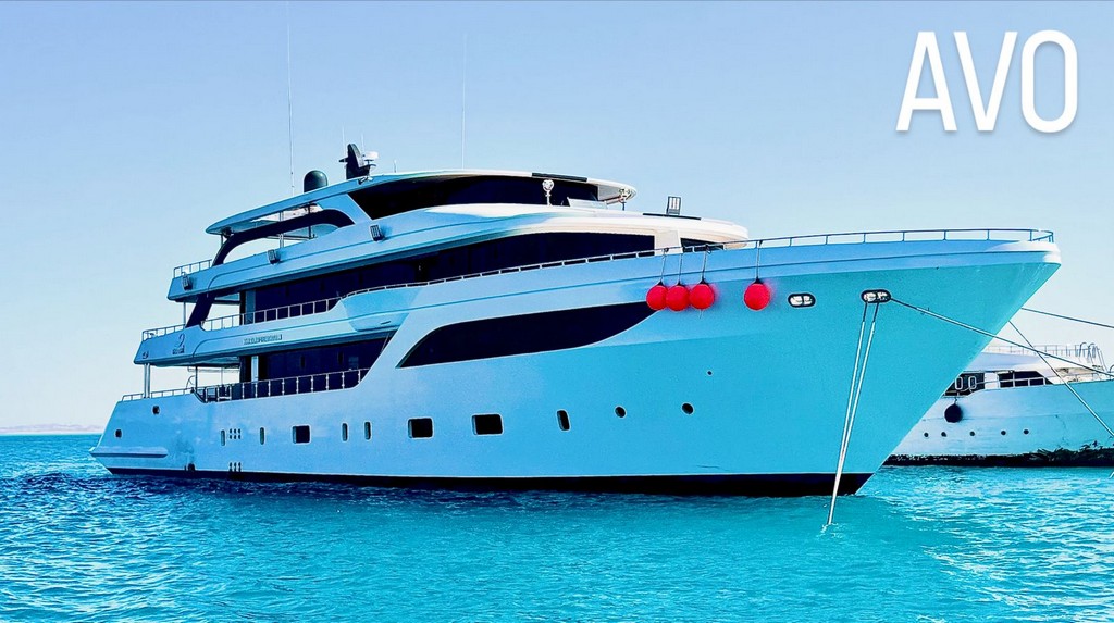 AVO 1