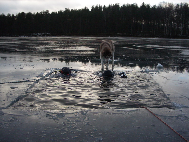 Марченково НГ 2007 Марченково НГ 2007