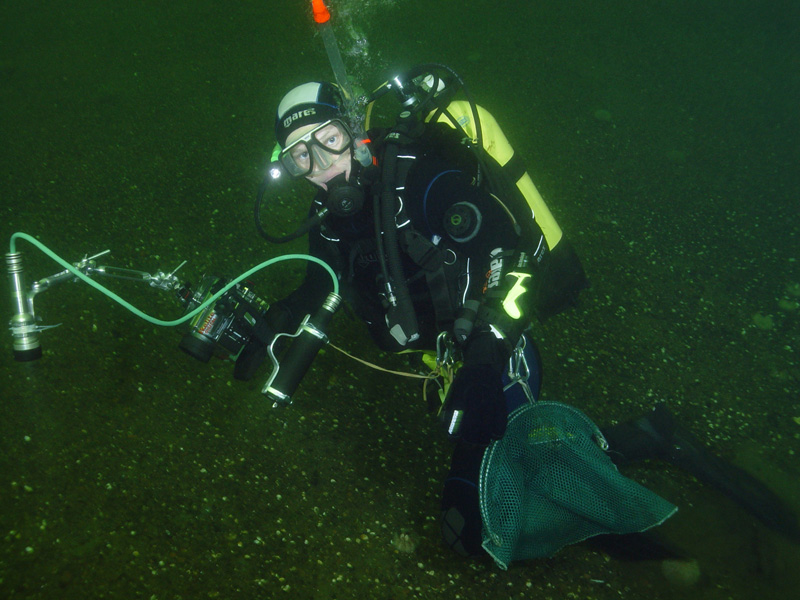 широкий угол широкий угол