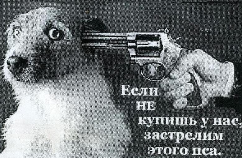 slava slava
