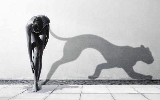 fghgfhgfhgfh fghgfhgfhgfh