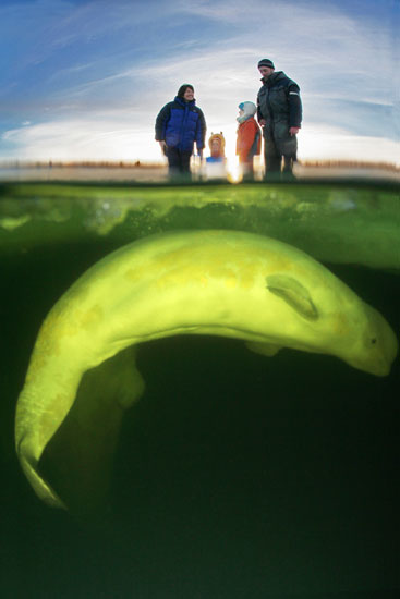 Полярный Круг Полярный Круг