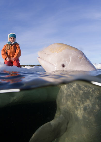 Полярный Круг Полярный Круг