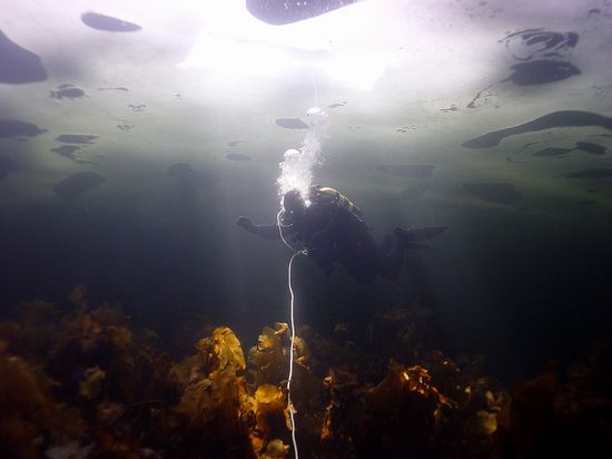 Полярный Круг Полярный Круг