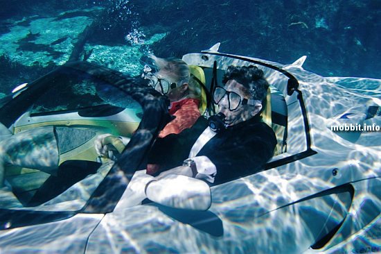 lotusscuba lotusscuba