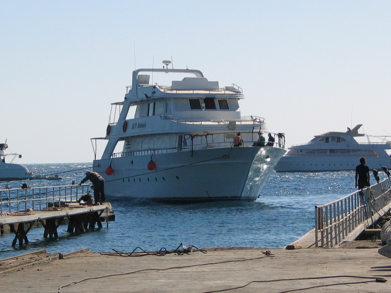 Сухой док - день первый Сухой док - день первый