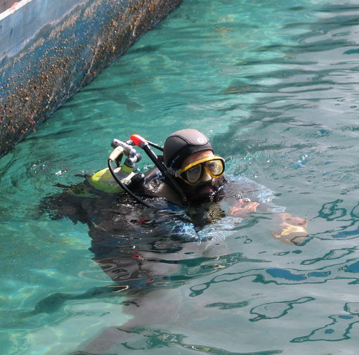 Сухой док - день первый Сухой док - день первый