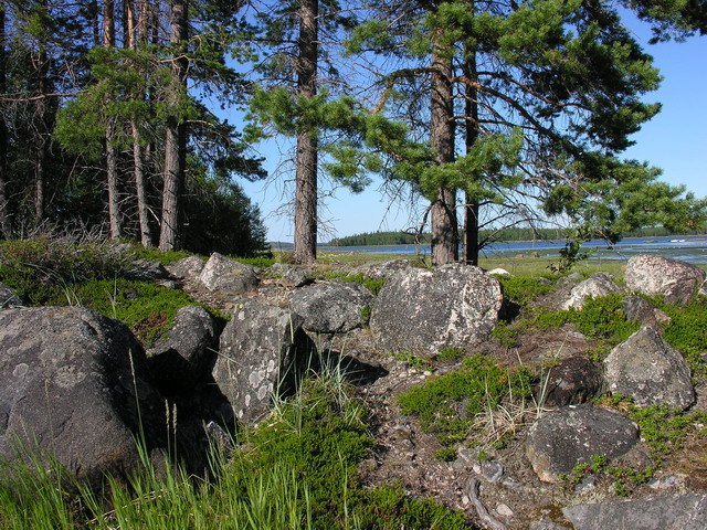 Белое море Белое море