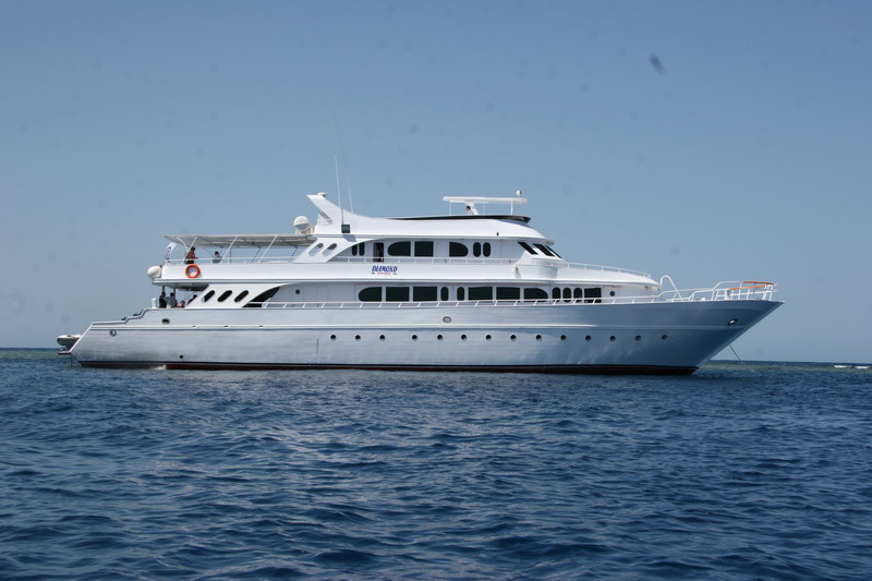 Египет 2008 Египет 2008