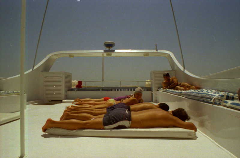 Египет 2008 Египет 2008