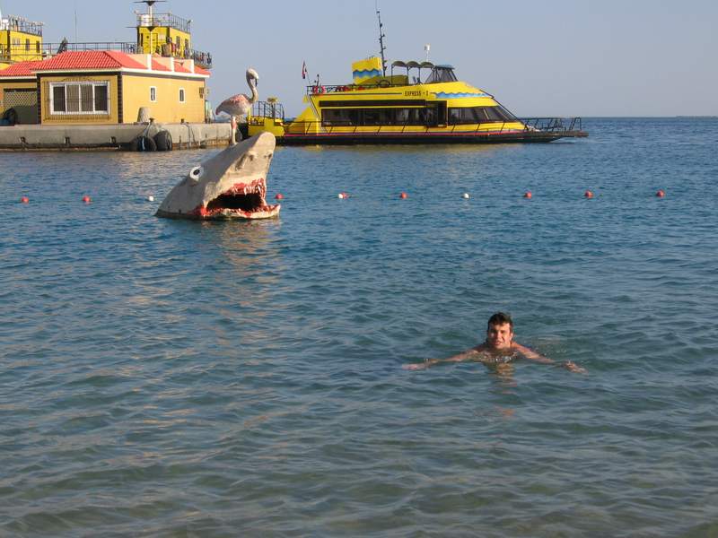 Акула Акула
