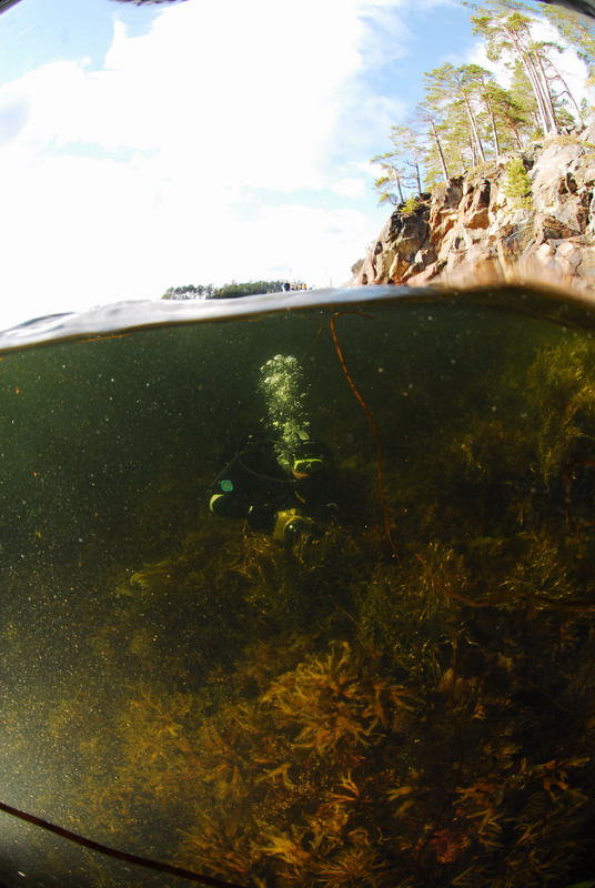 Под водой. Под водой.