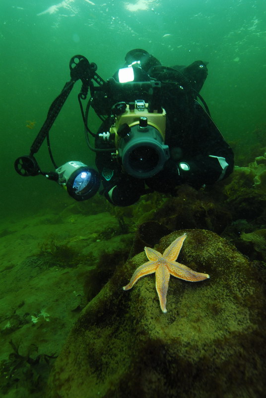 Фотограф и звезда. Фотограф и звезда.