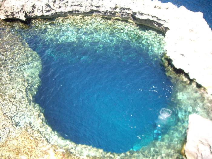 Блю хол Блю хол