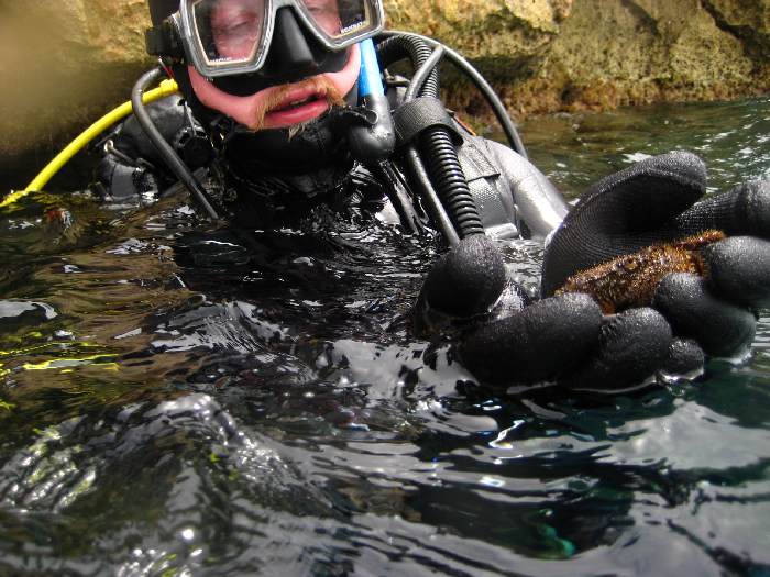 крабик 1 крабик 1