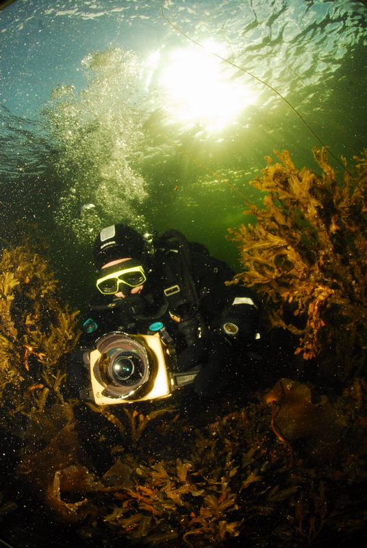 Фотограф за работой. Фотограф за работой.