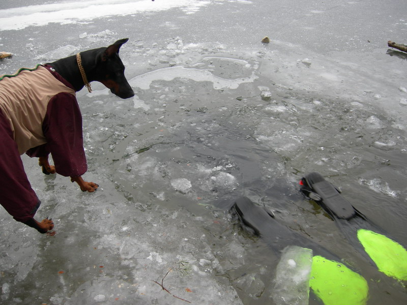 Семиозерье (30,12,06) Семиозерье (30,12,06)