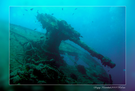 Красное море март 2008 Красное море март 2008