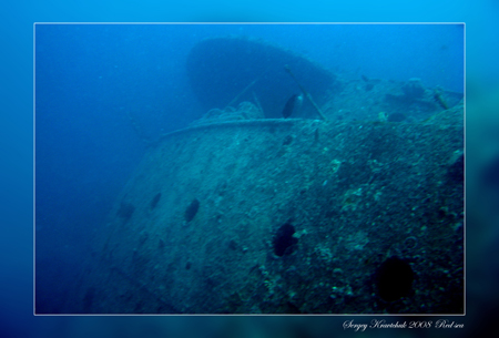 Красное море март 2008 Красное море март 2008