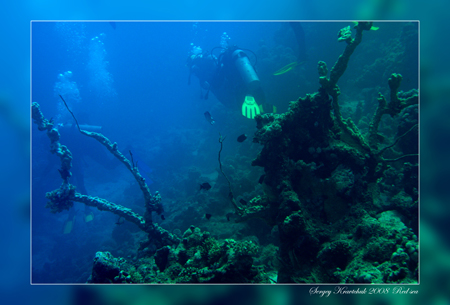 Красное море март 2008 Красное море март 2008