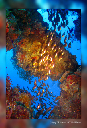 Красное море март 2008 Красное море март 2008