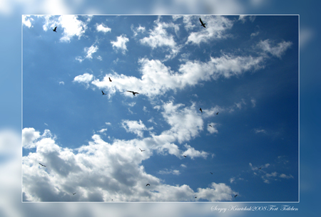 Форт Тотлебень 31.05.2008 Форт Тотлебень 31.05.2008