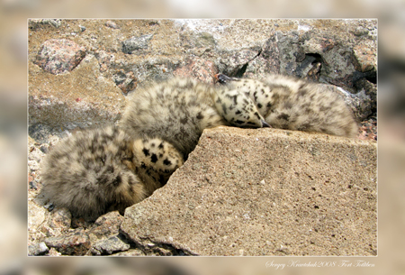 Форт Тотлебень 31.05.2008 Форт Тотлебень 31.05.2008