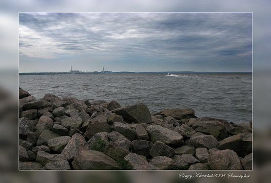 Сосновый бор. День очистки водоемов. Сосновый бор. День очистки водоемов.
