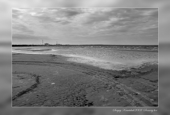 Сосновый бор. День очистки водоемов. Сосновый бор. День очистки водоемов.